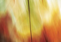 Tie Dye I Framed Print