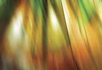 Tie Dye II Framed Print