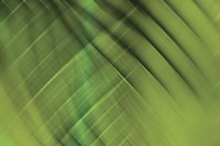 Tie Dye IV Framed Print