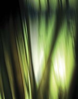 Organic I Framed Print