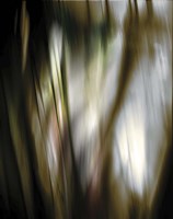 Organic III Framed Print