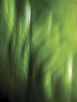 Organic V Fine Art Print