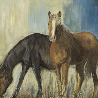 Horses II Fine Art Print