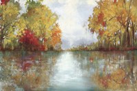 Forest Reflection Fine Art Print