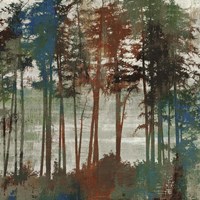 Spruce Woods I Fine Art Print