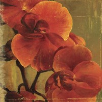 On Fire II Framed Print