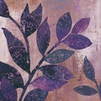 Viola I Framed Print