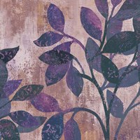 Viola II Framed Print