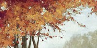 Fall Canopy I Fine Art Print
