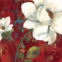 Velvet II Framed Print