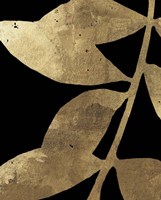 Gilded II Fine Art Print