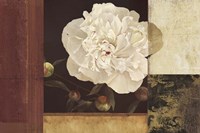 Bronzed Floral Fine Art Print