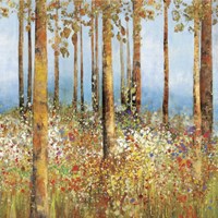 Field of Flowers I Fine Art Print