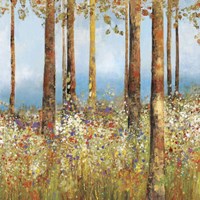 Field of Flowers  II Framed Print