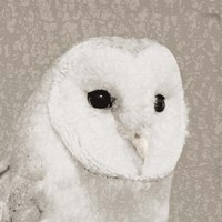 Feathered II Fine Art Print