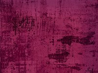 Violet Fine Art Print