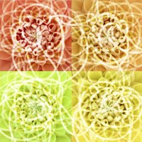 Scribbles Fine Art Print