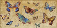 Butterflies in Flight Fine Art Print