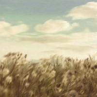 Dandelion Field Fine Art Print