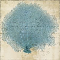 Blue Coral IV Framed Print