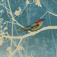 Blue Bird I Framed Print