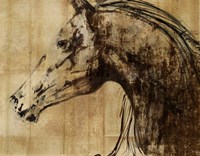 Stallion I - Print on Demand Fine Art Print