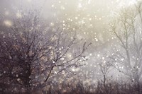 Atmospheric I Framed Print