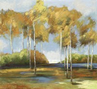 Breezy Birches Fine Art Print