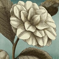 Slowdance Woodblock I Framed Print