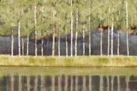 Luscious Morning Fine Art Print