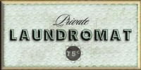 Private Laundromat Fine Art Print