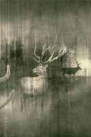 Open Plain Fine Art Print