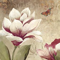 Magnolia Fine Art Print