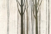 Down to the Woods on White Crop Fine Art Print