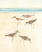 Sandpipers Crop II Fine Art Print