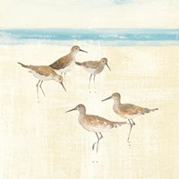 Sandpipers Square I Blue Fine Art Print