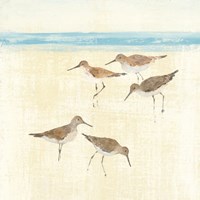 Sandpipers Square II Blue Fine Art Print