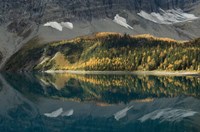 Floe Lake Fine Art Print