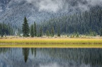 Waterfowl Lake II Fine Art Print