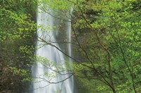 Double Falls II color Fine Art Print