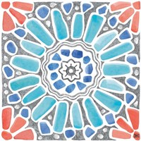 Coastal Sea Life VII Fine Art Print