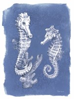 Coastal Sea Life V Framed Print