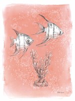 Coastal Sea Life III Fine Art Print