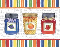 Canning Kitchen IX Fine Art Print