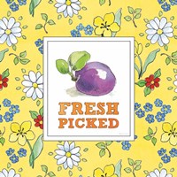 Fresh From the Garden VI Framed Print