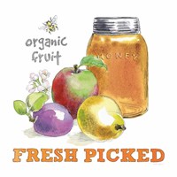 Fresh From The Garden II Framed Print