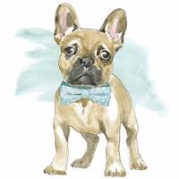 Glamour Pups XI Fine Art Print