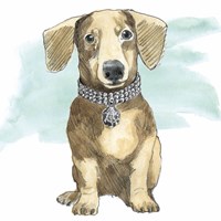 Glamour Pups IX Framed Print