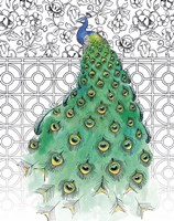 Garden Peacocks II Fine Art Print