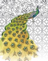 Garden Peacocks I Fine Art Print